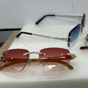 GLASSES 1